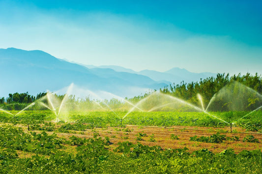 Precision Agriculture Remote Irrigation