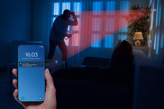 Monitor your home from anywhere