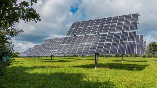 Solar Park Environmental Monitoring