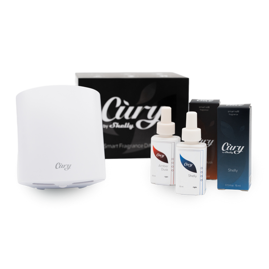 Cury + Shelly Fragrance + Amber Dusk