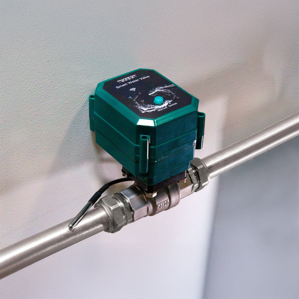 FrankEver Smart water valve DN15