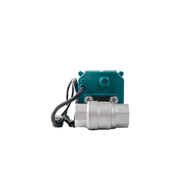 FrankEver Smart water valve DN20