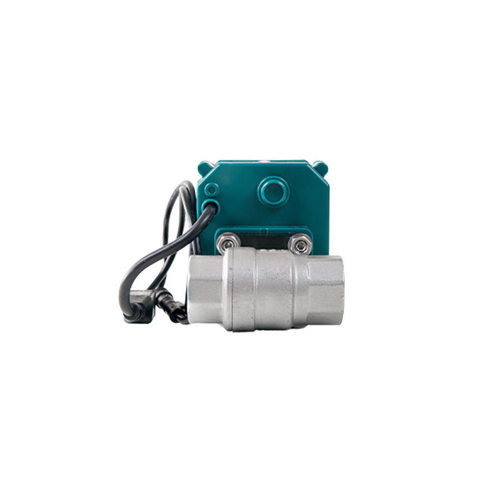 FrankEver Smart water valve DN25