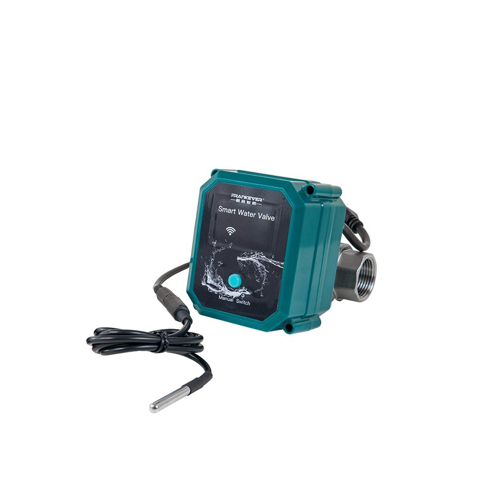 FrankEver Smart water valve DN25
