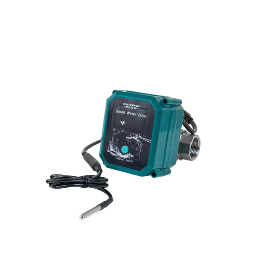 FrankEver Smart water valve DN20